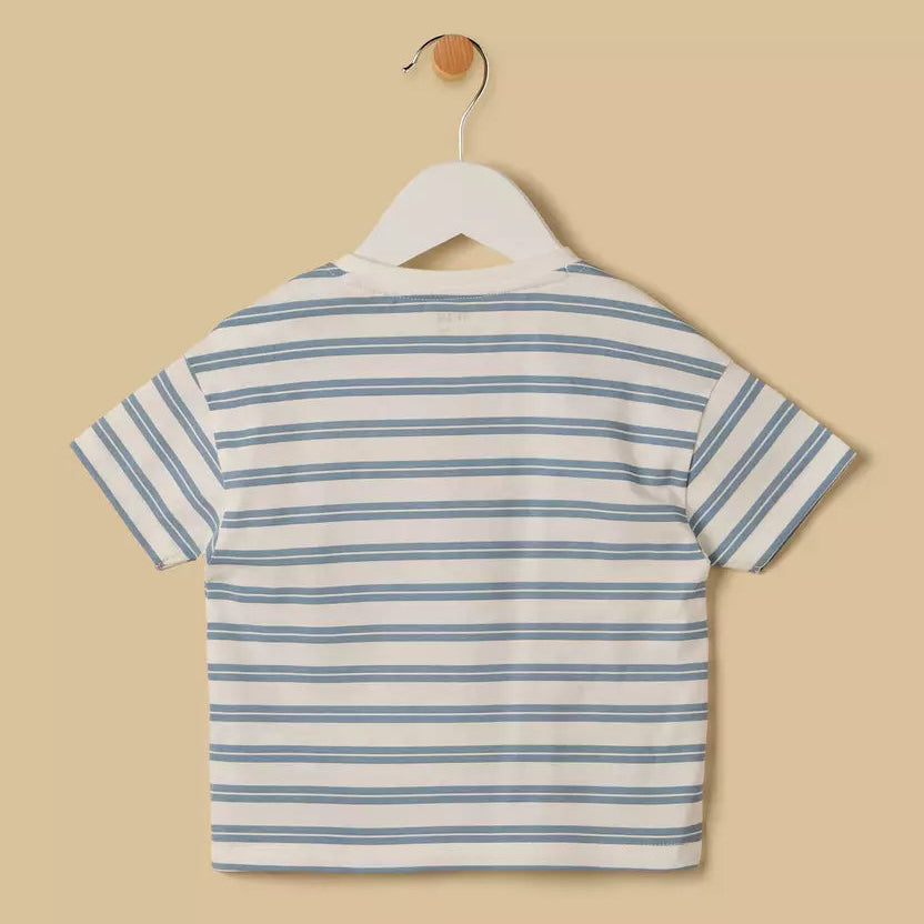 MAX-Bear Print Striped T-shirt and Shorts Set